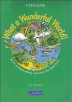 What A Wonderful World 6th Class (Was €18.20, Now €3)