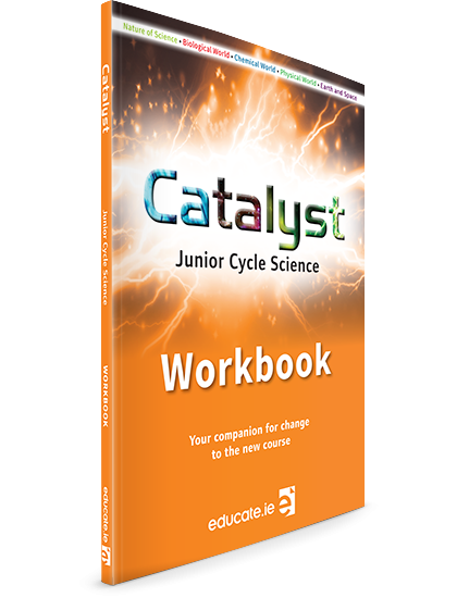 Catalyst Workbook