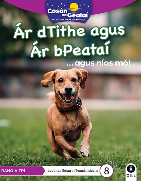 Ar dTithe agus Ar bPeatai - 3rd Class Non-Fiction Reader 8