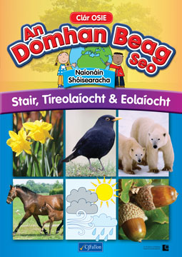 An Domhan Beag Seo Junior Infants