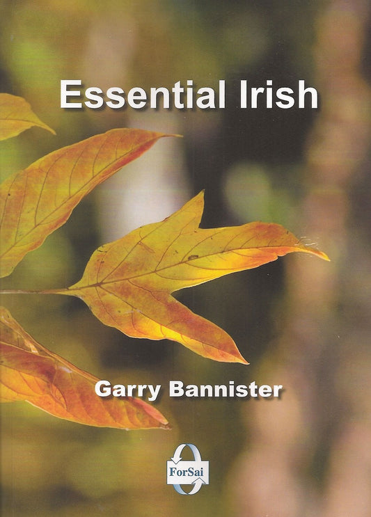 Essential Irish NOW €3