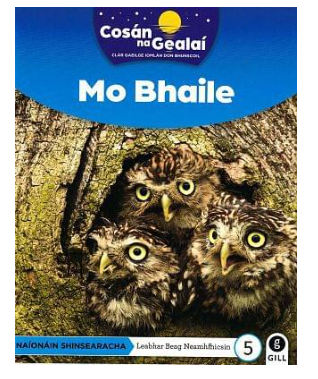 Mo Bhaile Senior Infants Non-Fiction Reader 5